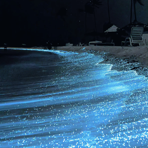 奸插舔阴户动漫
