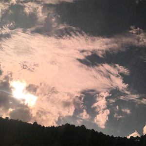 奸插舔阴户动漫
